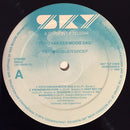 Frank Boeijen Groep - Foto Van Een Mooie Dag (LP Tweedehands) - Discords.nl