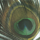 Boh Foi Toch - Veur Pauwen En Poeten (CD Tweedehands) - Discords.nl