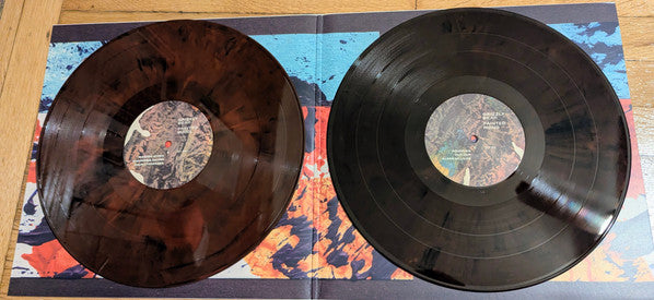 Grizzly Bear - Painted Ruins (LP)