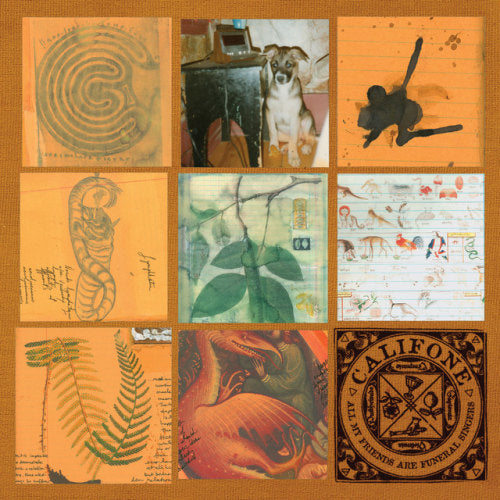 Califone - All my friends are funeral singers (CD) - Discords.nl