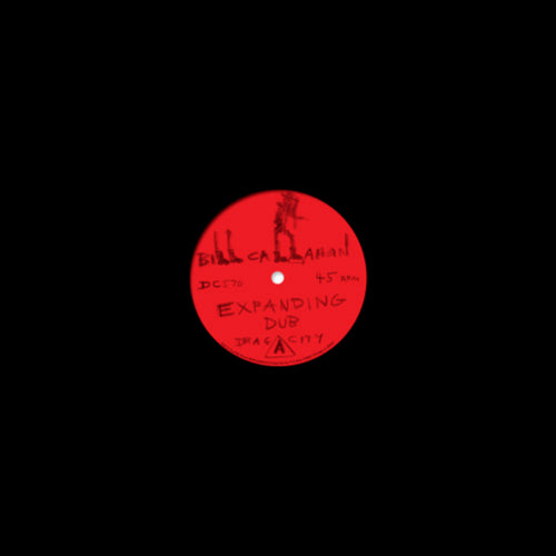 Bill Callahan - Expanding dub (12-inch)