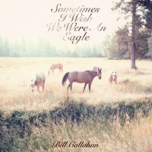 Bill Callahan - Sometimes i wish we were (LP) - Discords.nl