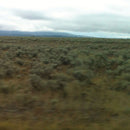 Caroline Says - 50.000.000 elvis fans can't be wrong (CD) - Discords.nl