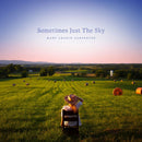 Mary Chapin Carpenter - Sometimes just the sky (LP) - Discords.nl