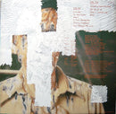 Peter Gabriel - Peter Gabriel (LP Tweedehands)
