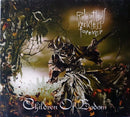 Children Of Bodom - Relentless Reckless Forever (CD) - Discords.nl