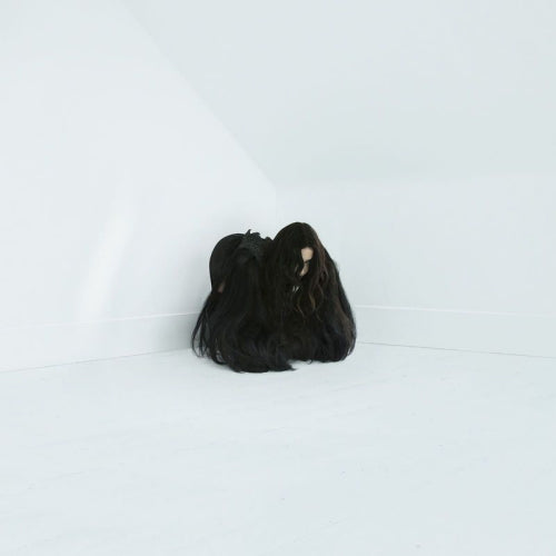 Chelsea Wolfe - Hiss spun (LP) - Discords.nl