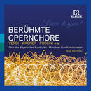 Chor Des Bayerischen Rundfunks - Fuoco di goia! beruhmte opernchore (CD) - Discords.nl