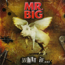 Mr. Big - What If... (CD) - Discords.nl