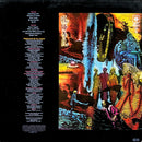 Santana - Beyond Appearances (LP Tweedehands)