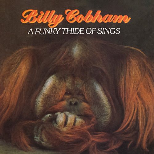 Billy Cobham - A funky thide of sings (CD)