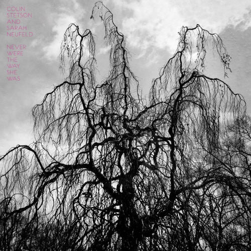 Colin Stetson - Never were the way she was (LP) - Discords.nl