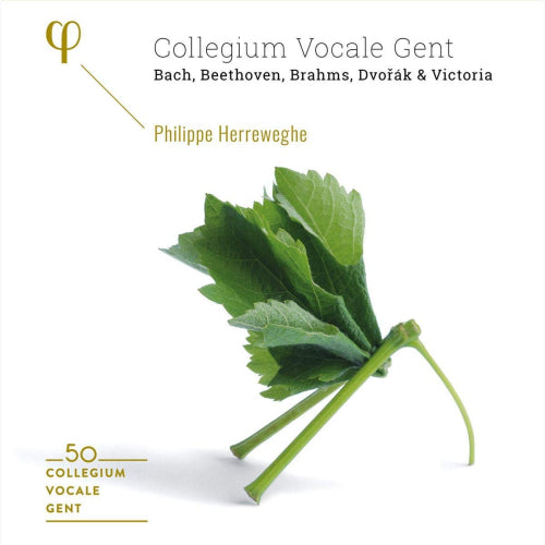 Collegium Vocale Gent / Philippe Herreweghe - 50th anniversary (CD) - Discords.nl