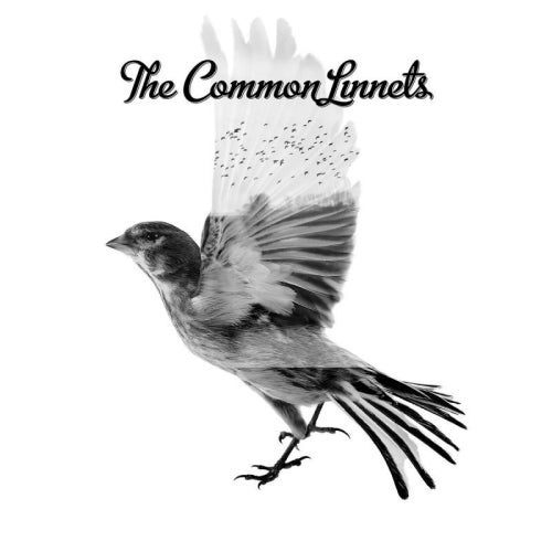 Common Linnets - Common linnets (CD) - Discords.nl