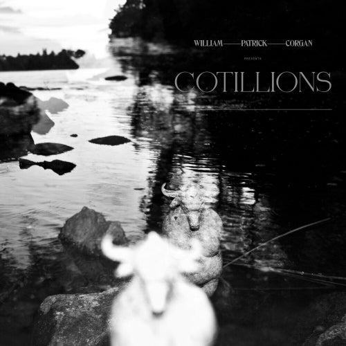 William Patrick Corgan - Cotillions (LP) - Discords.nl