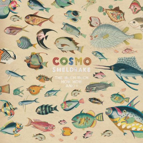 Cosmo Sheldrake - Much much how how & i (CD) - Discords.nl