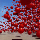 Cranberries - Wake up & smell the coffee (CD) - Discords.nl