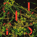 Cults - Host (CD) - Discords.nl