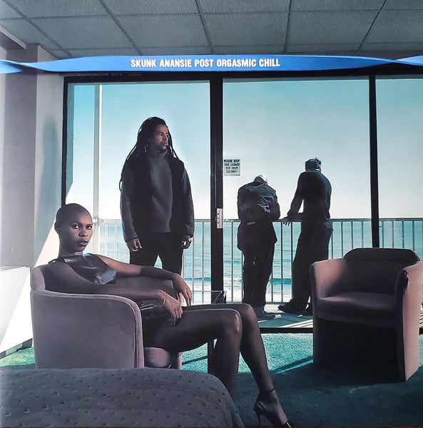 Skunk Anansie - Post Orgasmic Chill (LP) - Discords.nl