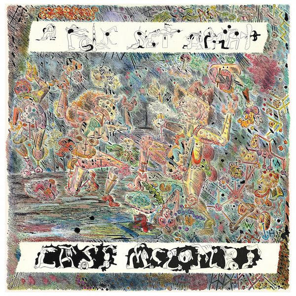Cass McCombs - A folk set apart (LP) - Discords.nl