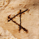 Cassels - Gut feeling (CD) - Discords.nl