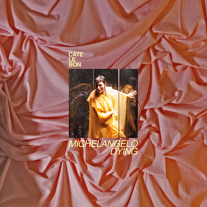 Cate Le Bon - Michelangelo dying (LP) - Discords.nl