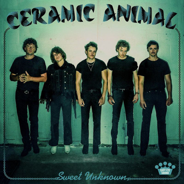 Ceramic Animal - Sweet Unknown (LP) - Discords.nl