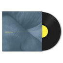 Chantal Acda - Let your hands be my guide (LP) - Discords.nl