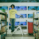 Charlie Hickey - Count the stairs (LP) - Discords.nl