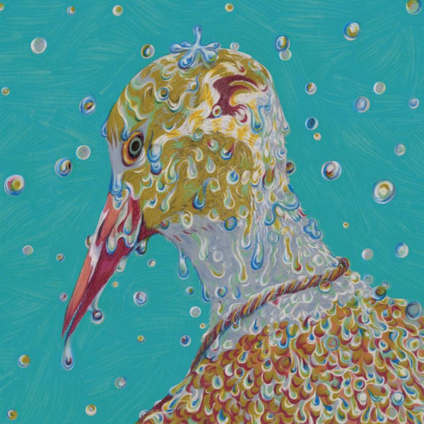 Chartreuse - Morning ritual (LP) - Discords.nl