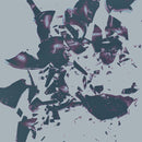 Chasms - On the legs of love purified (LP) - Discords.nl