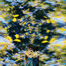 Chaton Laveur - Labyrinthe (LP) - Discords.nl