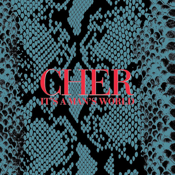 Cher - It's a man's world (LP) - Discords.nl