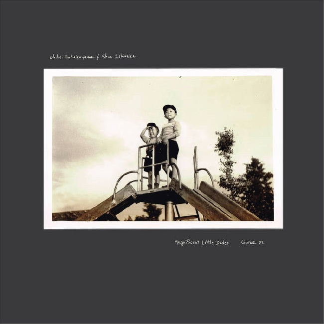 Chihei Hatakeyama & Shun Ishiwaka - Magnificent little dudes vol 1 (LP) - Discords.nl