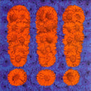 Chk Chk Chk (!!!) - !!! (CD) - Discords.nl