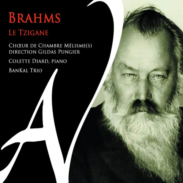 Choeur De Chambre Melismes - Brahms: le tzigane (CD) - Discords.nl