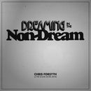 Chris Forsyth & The Solar Motel Band - Dreaming in the non-dream (LP) - Discords.nl