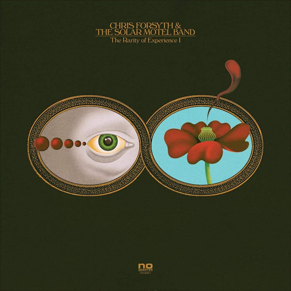 Chris Forsyth & The Solar Motel Band - The rarity of experience I (LP) - Discords.nl