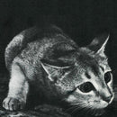 Cindy - Cindy (LP) - Discords.nl