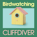 Cliffdiver - Birdwatchin (LP)