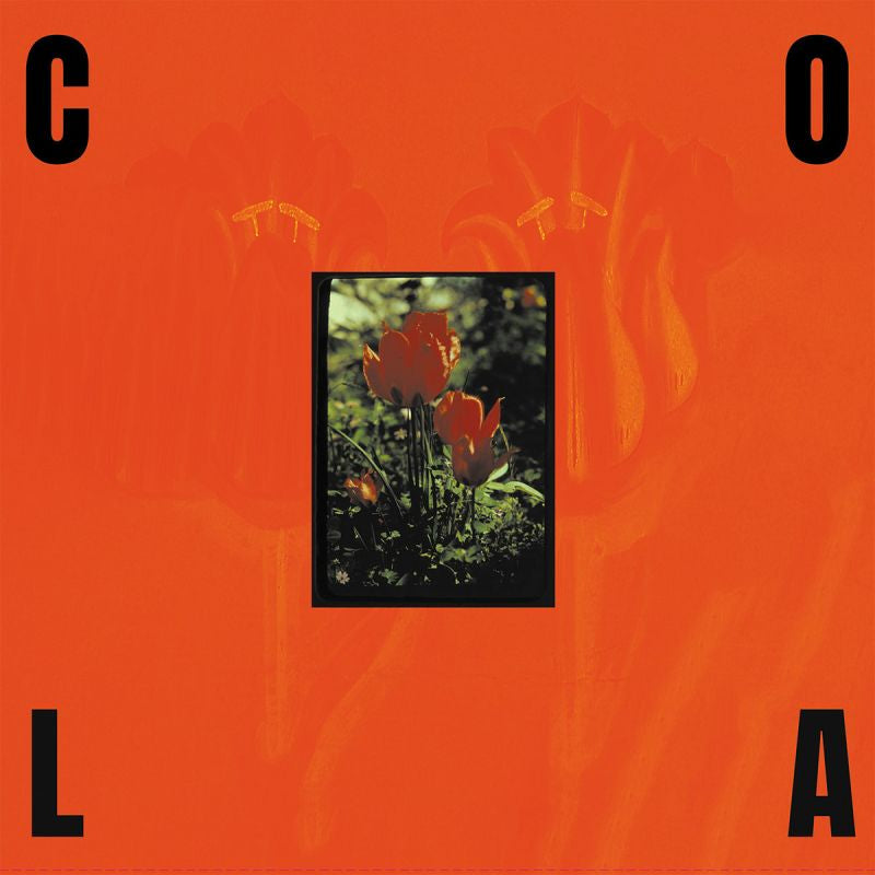 Cola - The gloss (CD) - Discords.nl