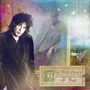 Waterboys - An appointment with mr yeats (LP) - Discords.nl
