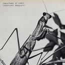 Courtney Barnett - Creature of habit (LP) - Discords.nl