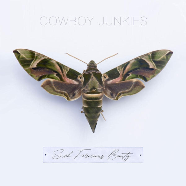 Cowboy Junkies - Such ferocious beauty (CD) - Discords.nl