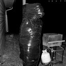 Crave - Inner war delirium (LP) - Discords.nl