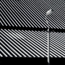 Craven Faults - Erratics & unconformities (CD)