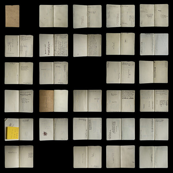 Crime In Stereo - Selective wreckage (LP) - Discords.nl