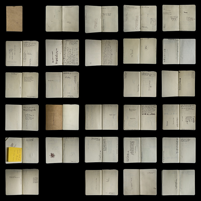 Crime In Stereo - Selective wreckage (LP) - Discords.nl