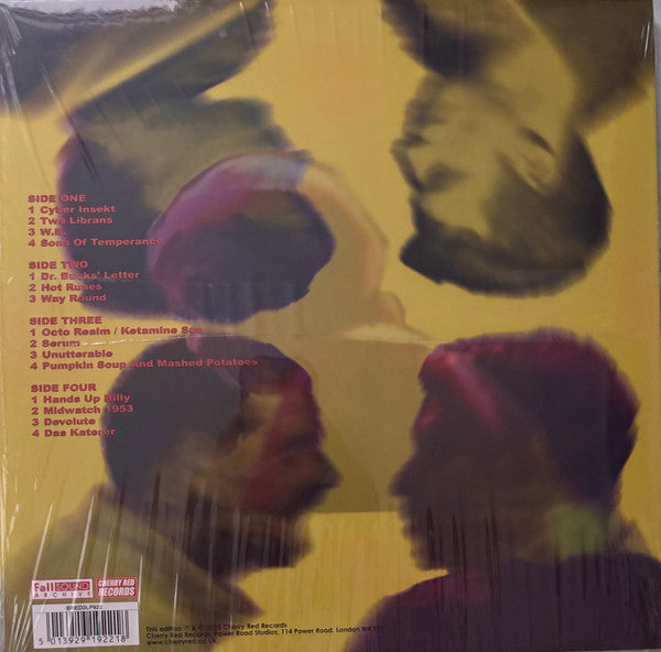 Fall, The - The Unutterable (LP) - Discords.nl