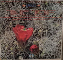 Eagles - Eagles (LP Tweedehands)